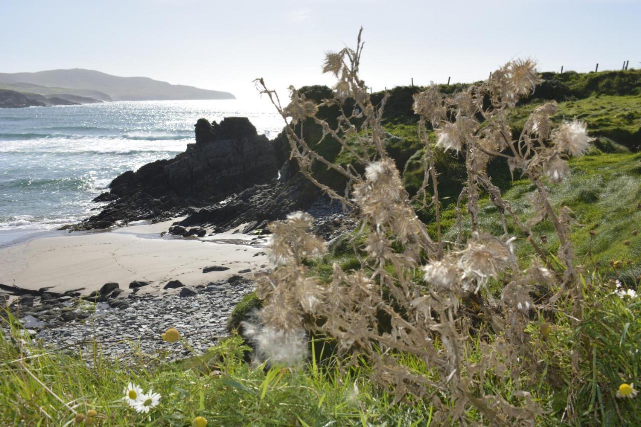 The Ferry Boat Hotel Portmagee Bagian luar foto